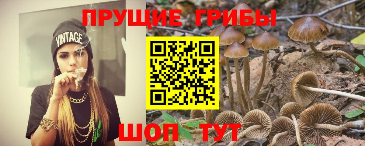 Галлюциногенные грибы MAGIC MUSHROOMS Новокуйбышевск