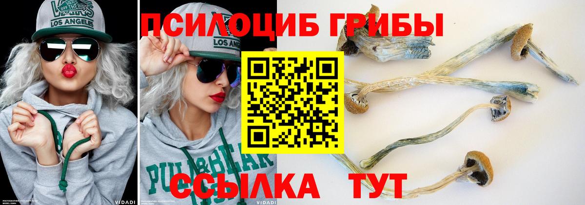 Галлюциногенные грибы мицелий  Вход с VPN  Галлюциногенные грибы Cubensis  Новокуйбышевск 